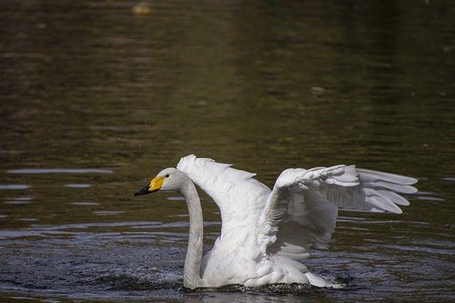 Bílé nehty na nohou: Tajemství dokonalého vzhledu a zdraví vašich nehtů