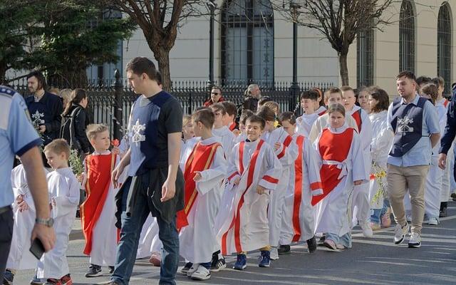 Flek po kousnutí muchničkou: Jak se ho zbavit a účinně mu předejít