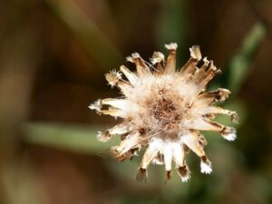 Suchá kůže na očním víčku: Překonejte svědění a zčervenání s těmito jednoduchými tipy