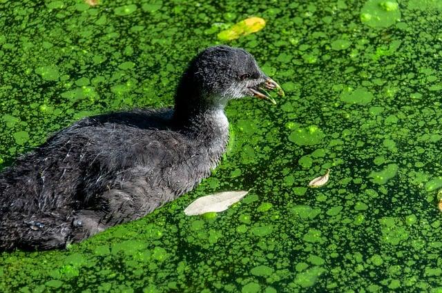 Řasy Kladno: Tajemství krásy a péče, které musíte znát