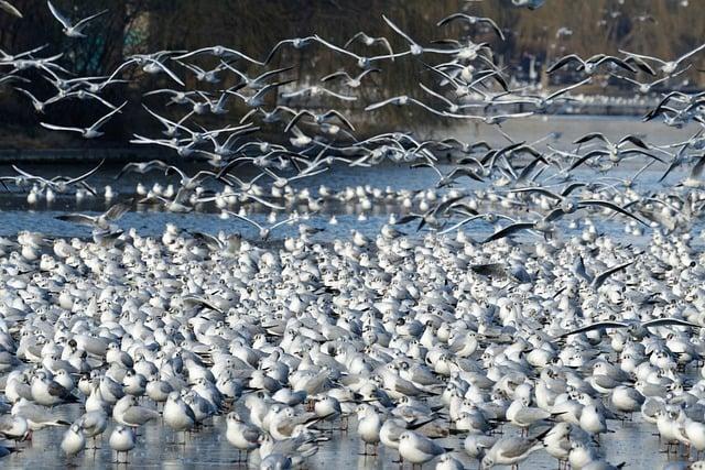 Trvalá epilace Hradec Králové: Získejte hladkou pokožku bezpečně a efektivně