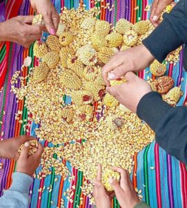 Cena botoxu: Objevte tajemství, které ovlivňuje náklady na váš mladistvý vzhled