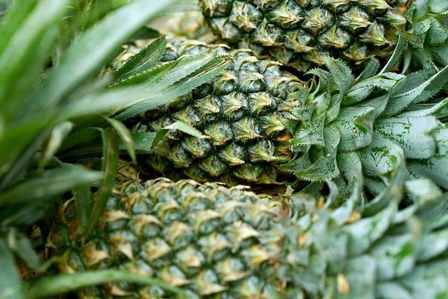 Alergie na ananas vyrážka: Příznaky, prevence a účinné řešení