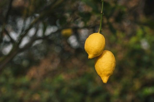 Zesvětlování chloupků citronem: Objevte tajemství přirozeného a levného vzhledu