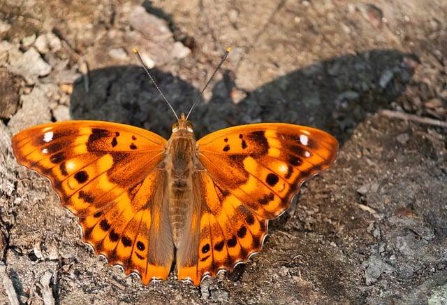 Kdy dovolit dceři holit si nohy: Klíčové rady pro rodiče a sebevědomí dívek